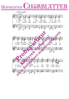 Wenn ich ein Vöglein wär (Robert Schumann) 