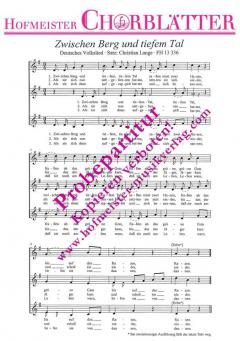 Zwischen Berg und tiefem Tal 