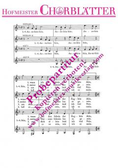 Annelein fein (Valentin Haußmann) 