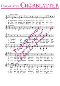 Der Freiheit eine Gasse (Robert Fuchs) 