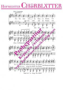 Der See ruht tief (Der träumende See) (Robert Schumann) 