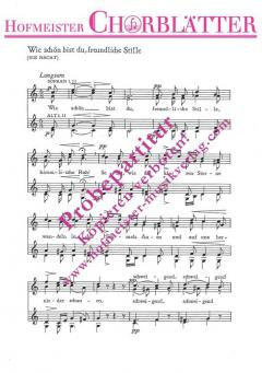 Die Nacht (Wie schön bist du) (Franz Schubert) 