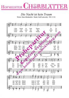 Die Nacht ist kein Traum (Rolf Lukowsky) 