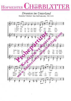 Drunten im Unterland 