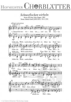 Schneeflocken wirbeln (Max Zenger) 