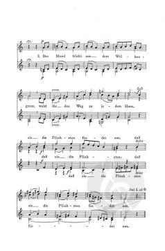 Schneeflocken wirbeln (Max Zenger) 