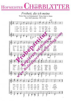 Freiheit, die ich meine (Karl A. Groos) 