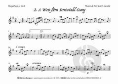 17 Laubensteiner Bläserweisen - Unsa Hoamat 