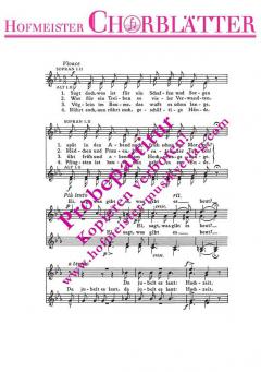 Hochzeit (Sagt doch, was ist für ein Schaffen) (Ferdinand Möhring) 