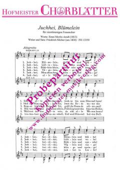 Juchhei, Blümelein (Friedrich Silcher) 