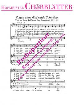 Zogen einst fünf wilde Schwäne (Karl Plenzat) 