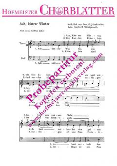 Ach, bittrer Winter 