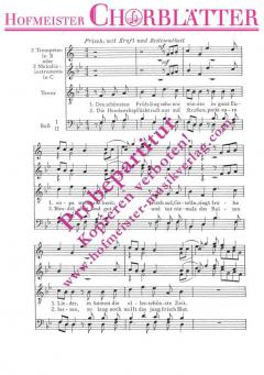 Den schönsten Frühling sehn wir wieder 