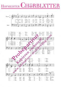 Kommt, wir gehen am engen Stege 