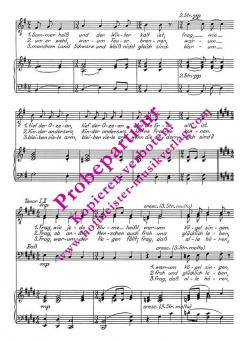 Lied vom Fragen (Frag, warum der Sommer heiss) (Horst Irrgang) 