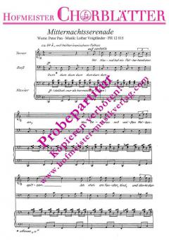 Mitternachtsserenade (Lothar Voigtländer) 