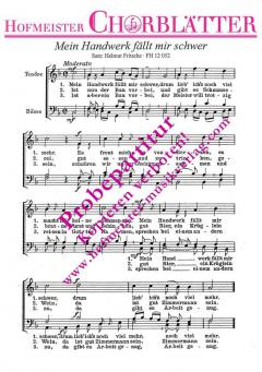 Zimmermannslied (Helmut Fritsche) 