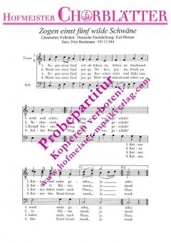 Zogen einst fünf wilde Schwäne (Karl Plenzat) 