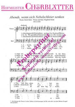 Abends, wenn sich Nebelschleier senken (Siegfried Stolte) 