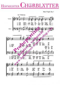 Abschied (Leb wohl, geliebtes Elternhaus) (Max Vogel) 