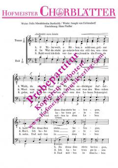 Abschied vom Walde (O Täler weit, o Höhen) (Felix Mendelssohn Bartholdy) 