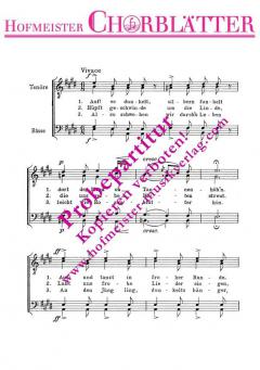 Zum Rundtanz (Auf! Es dunkelt) (Franz Schubert) 