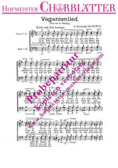 Auf schlampigen Hütlein (S. Krannig) 