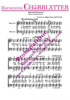 Auf zum Fandango! (Nun senkt sich wieder vom Himmel) 