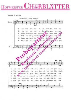 Aus wievielen Elementen 