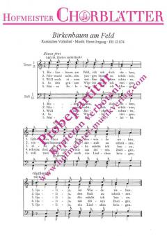 Birkenbaum am Feld (russisch) 