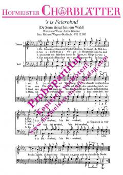 De Sonn steigt hinnern Wald drübn nei 