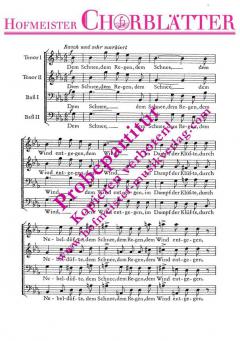 Rastlose Liebe (Dem Schnee, dem Regen) 