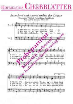 Der Dnjepr (Anton Wilhelm von Zuccalmaglio) 