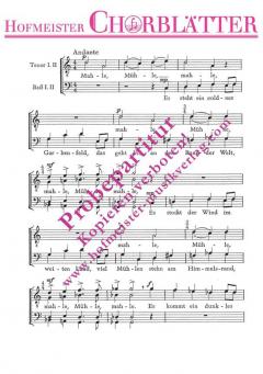 Der Seemannsgrog (Oh, glaubt mir, unser Meeresgott) (Gerhard Wohlgemuth) 