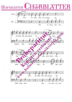 Des Lebens Sonnenschein (Hans Scherzberg) 