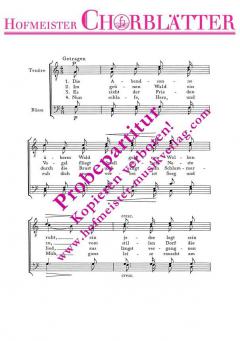 Die Abendsonne überm Wald ('s ist Feierabend / hochdeutsch) 