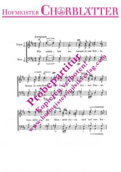 Die Nacht (Wie schön bist du) (Franz Schubert) 