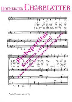 Die Reise nach Jütland 