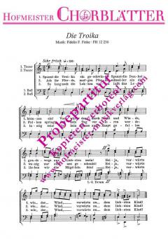 Die Troika 