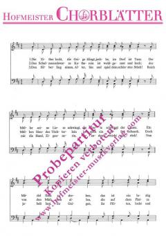 Die Zither lockt, die Geige klingt 