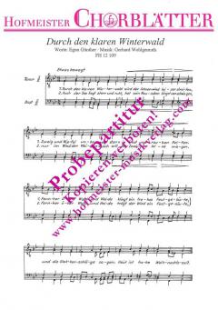 Durch den klaren Winterwald (Gerhard Wohlgemuth) 