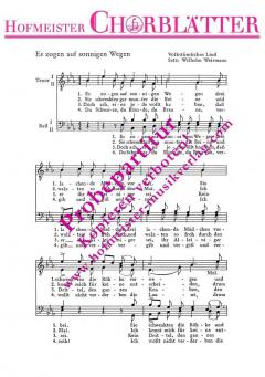 Es zogen auf sonnigen Wegen 