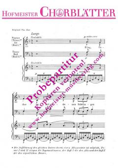 Flieg, Gedanke aus Nabucco (Giuseppe Verdi) 