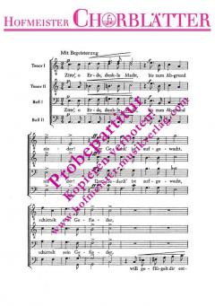 Freiheitslied (Zittr', o Erde, dunkle Macht) (Robert Schumann) 