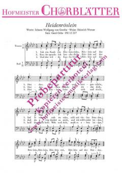 Heidenröslein (Sah ein Knab ein Röslein stehn) (Heinrich Werner) 