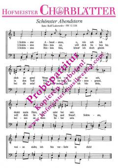 Schönster Abendstern 