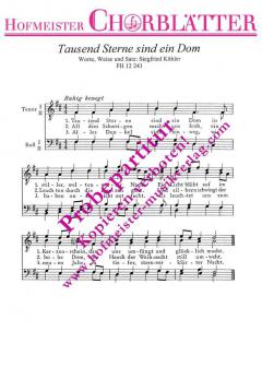 Tausend Sterne sind ein Dom (Siegfried Köhler) 