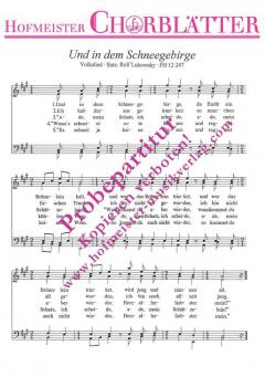 Und in dem Schneegebirge 