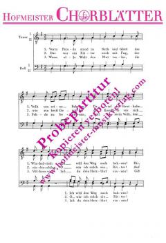 Vorm Feinde stand in Reih und Glied (Robert Fuchs) 