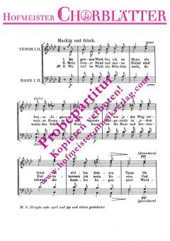 Waldkönig von Max Filke 